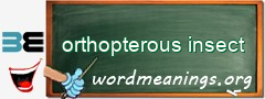 WordMeaning blackboard for orthopterous insect